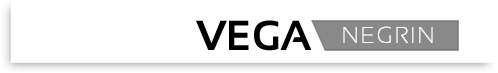 Sinuhe Vega Negrin Logo