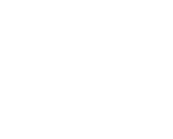 Sinuhé Vega Negrin Logo